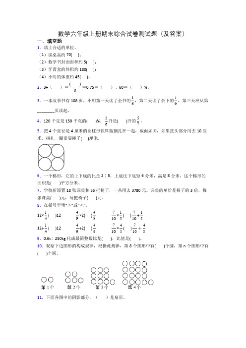 数学六年级上册期末综合试卷测试题(及答案)