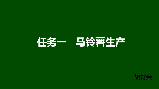 马铃薯生物学特性