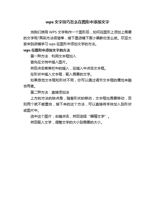 wps文字技巧怎么在图形中添加文字