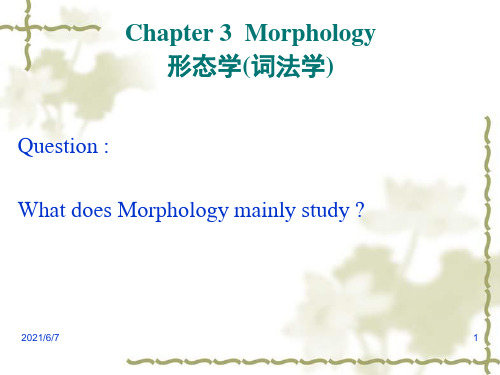 Morphology-Rules