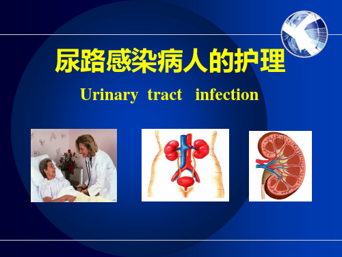 尿路感染护理PPT课件