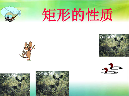 (9)华师大版八年级上数学19.2《矩形的性质》PPT课件