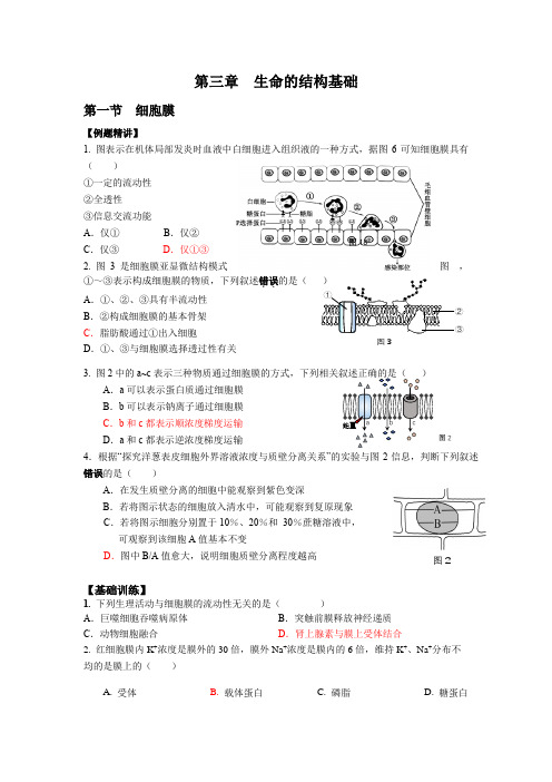 2021年上海生命科学合格考章节复习第三章 生命的结构基础含答案