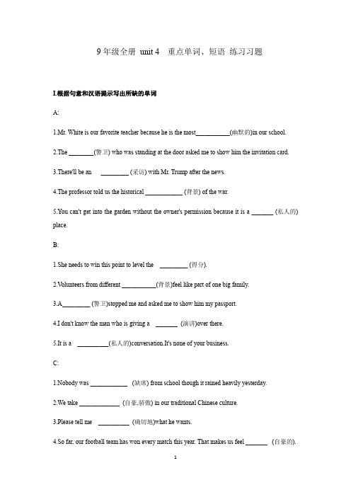 人教版初中英语  9年级全册 unit 4 重点单词短语 练习习题(含答案)