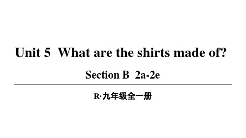 人教新目标版九全英语Unit 5 第4课时(B 2a-2e)