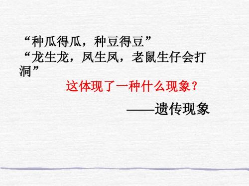 孟德尔的豌豆杂交实验(一)