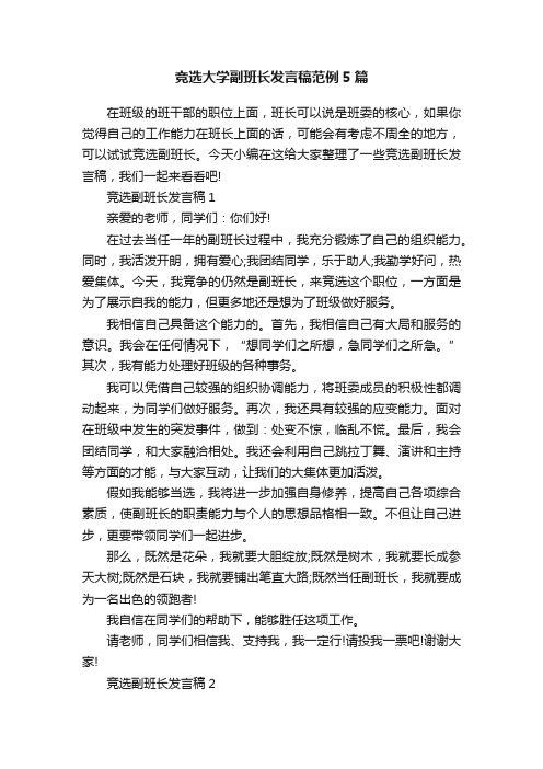 竞选大学副班长发言稿范例5篇