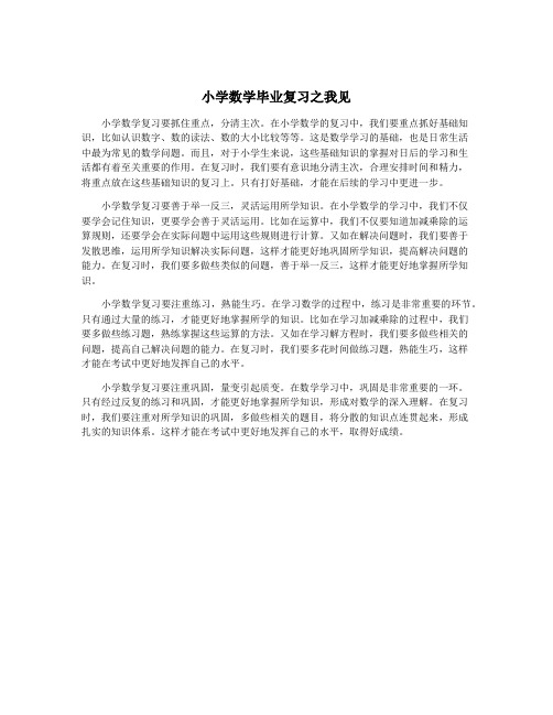 小学数学毕业复习之我见