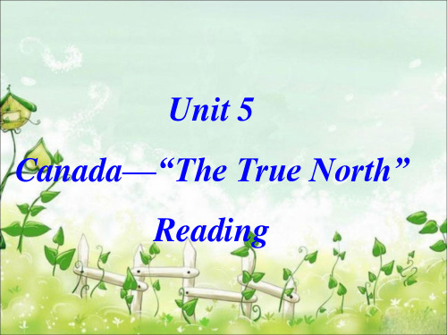 人教版高中英语必修3Unit5__A__trip__on__the__true__north__精品课件(共56张PPT)