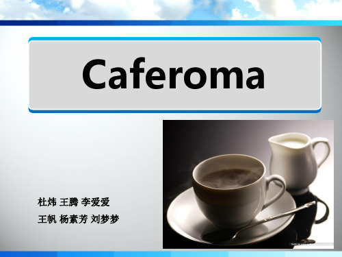 商英案例分析cafroma(最终)