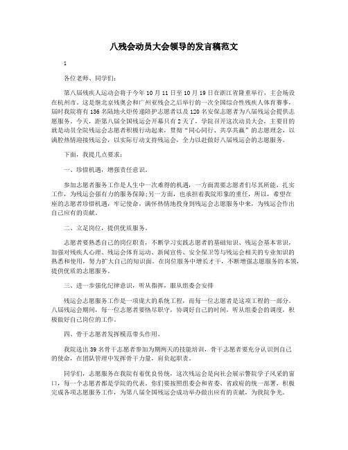 八残会动员大会领导的发言稿范文