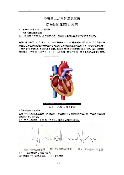 心电图五步分析法