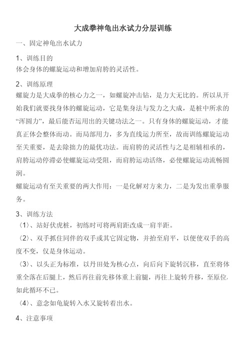 大成拳神龟出水试力分层训练