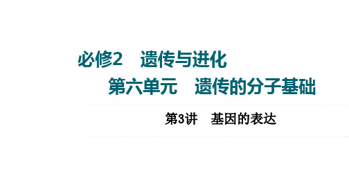 2022届高三一轮复习生物新高考全国通用版 第6单元 第3讲 基因的表达课件