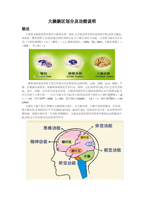 各脑区划分及功能大脑对应的功能区