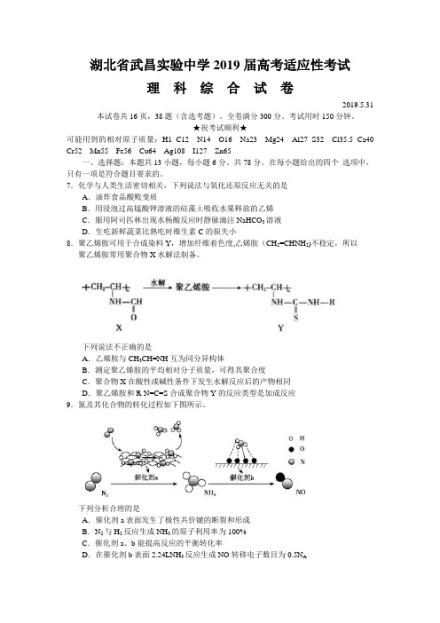 湖北省武昌实验中学2019届高三5月高考适应性考试理综化学试题 word