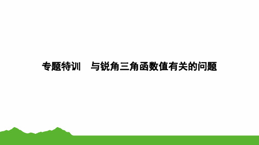 2024年九年级中考数学(苏科版)二轮复习专题特训课件+与锐角三角函数值有关的问题