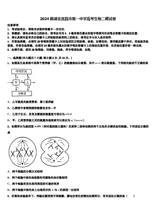 2024届湖北宜昌市第一中学高考生物二模试卷含解析