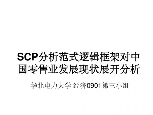 零售业SCP分析演示