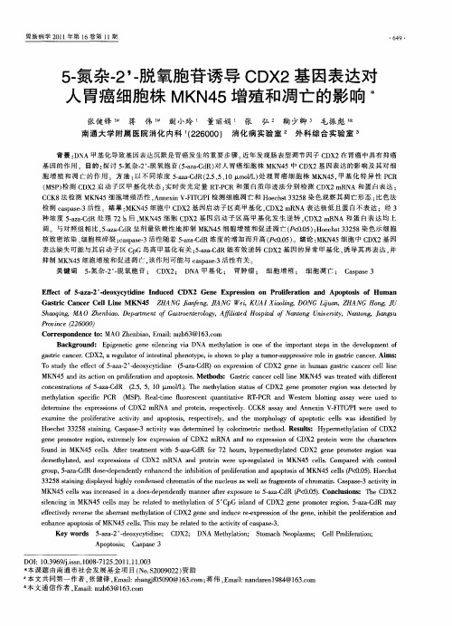 5-氮杂-2’-脱氧胞苷诱导CDX2基因表达对人胃癌细胞株MKN45增殖和凋亡的影响