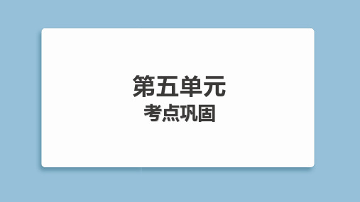 2025年部编版六年级下册语文第五单元考点巩固