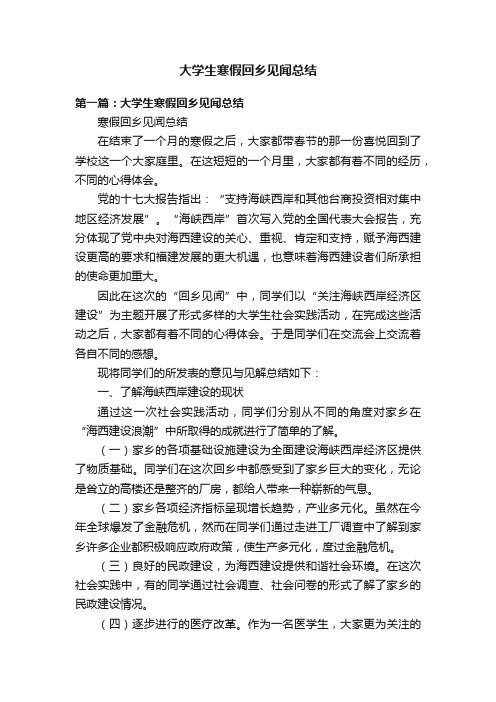 大学生寒假回乡见闻总结