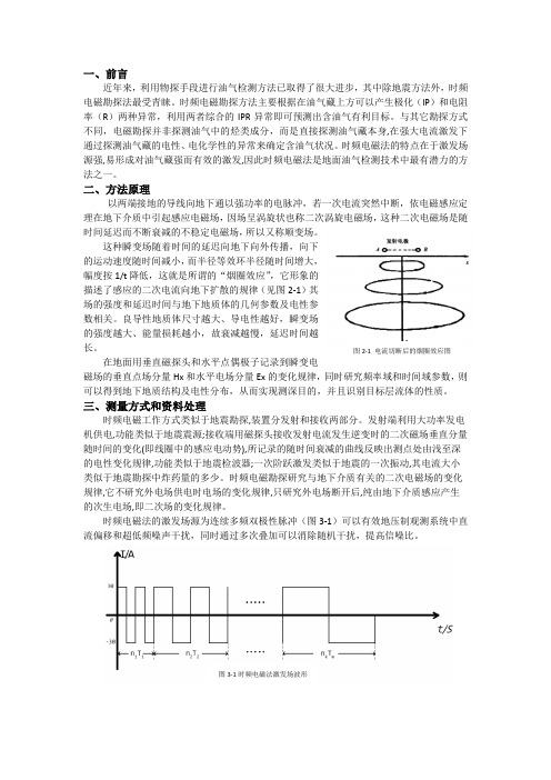 时频电磁法文献综述