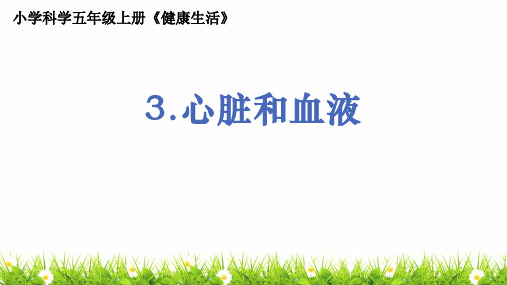 最新教科版人小学科学五年级上册《心脏和血液》精品课件