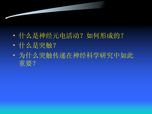 神经生物学 突触传递和调控