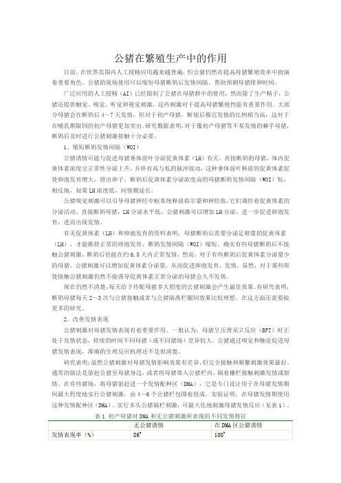 公猪在繁殖生产中的作用