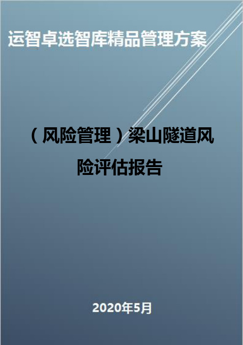 (风险管理)梁山隧道风险评估报告