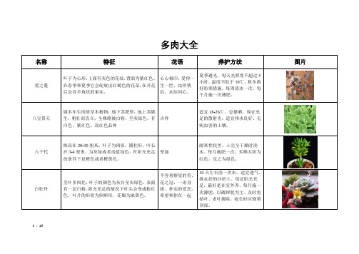 多肉大全(多肉形态、多肉花语、多肉养殖)