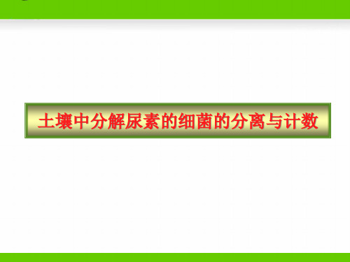 课题土壤中分解尿素的细菌的分离与计数公开课一等奖课件省赛课获奖课件