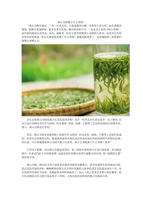 黄山毛峰属于什么茶呢？