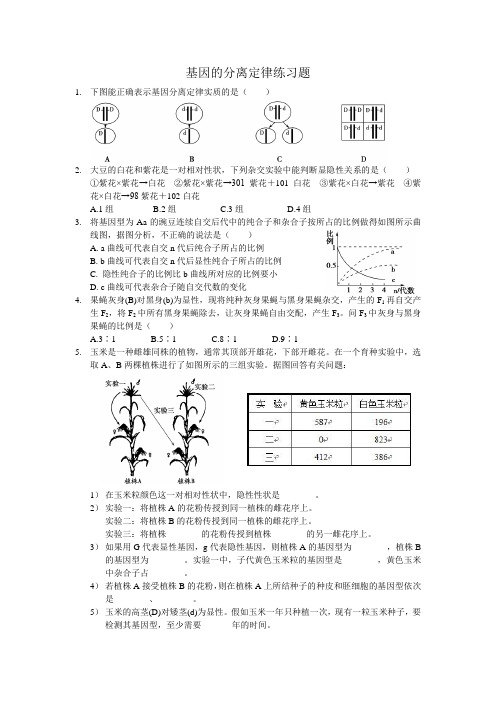 《基因的分离定律》练习