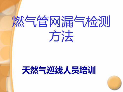 燃气管网漏气检测方法