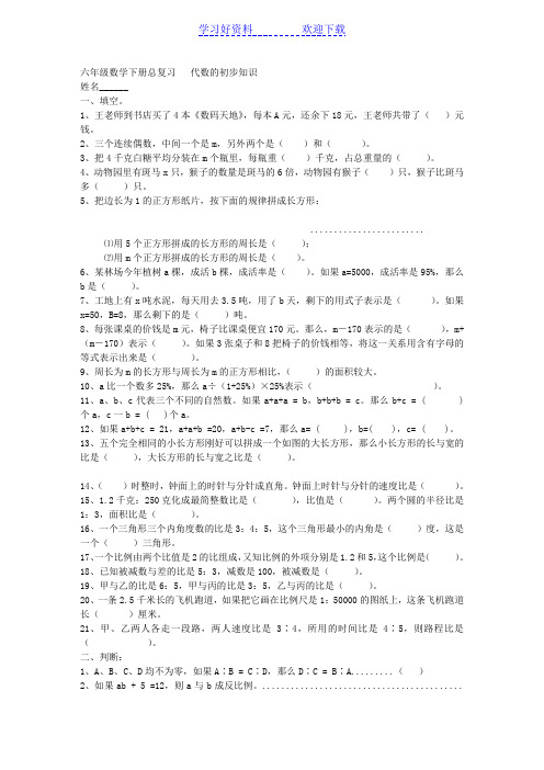 (北师大版)六年级数学下册代数的初步知识