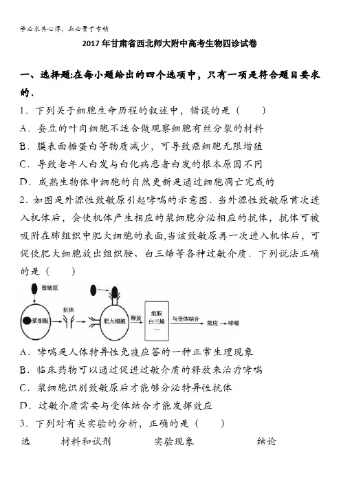 甘肃省西北师范大学附属中学高三下学期第四次校内诊断考试理科综合生物试题