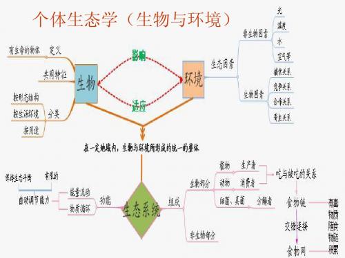 个体生态学(10生物科学二班第四组)