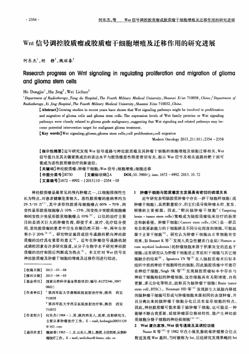 Wnt信号调控胶质瘤或胶质瘤干细胞增殖及迁移作用的研究进展