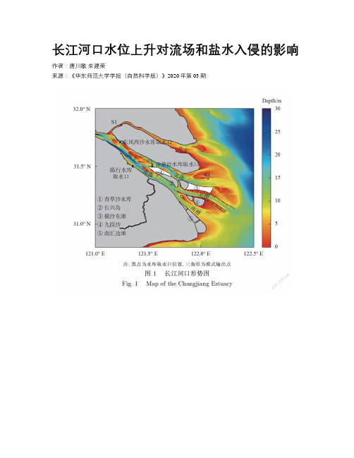   长江河口水位上升对流场和盐水入侵的影响    