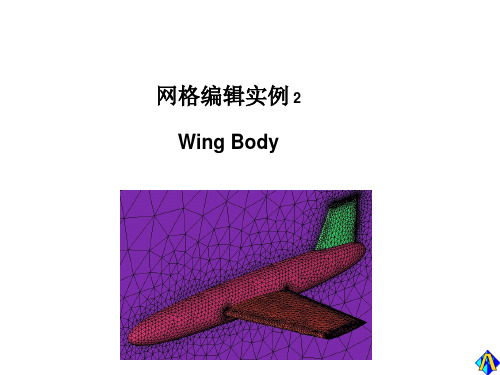 ICEM CFD网格修改实例