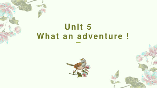 Unit+5+What+an+adventure知识点复习课件 高中英语外研版(2019)必修第三册