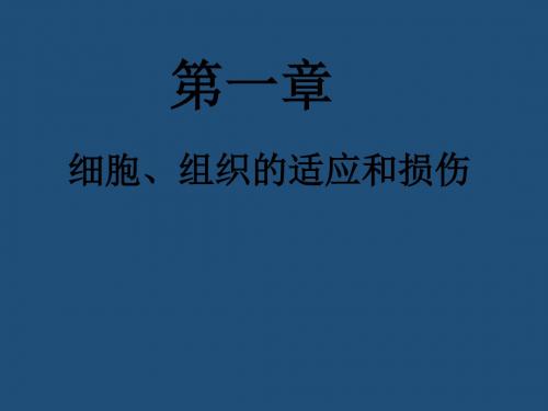 第一章细胞、组织的适应和损伤课件PPT课件