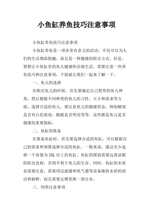 小鱼缸养鱼技巧注意事项