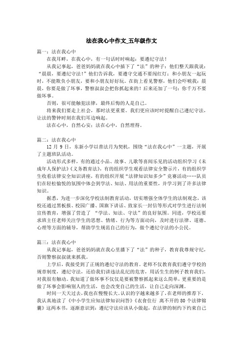 法在我心中作文_五年级作文