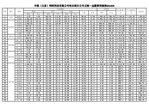 五险一金缴费明细表