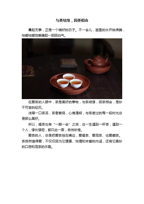 与茶结缘，因茶相会