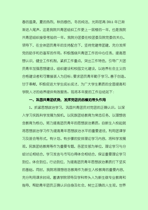 2011年度分团委工作总结