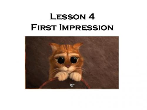 北师大版高中英语必修五Unit  13  People Lesson 4 First Impression 课件(10张)